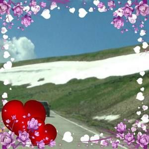 Meet your Posher, Pat baxter